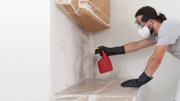 Professional Bathroom Mold Removal technician working in Oldsmar, FL